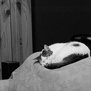 Alone (feat. Marco Vernice)