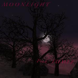 Moonlight (Explicit)