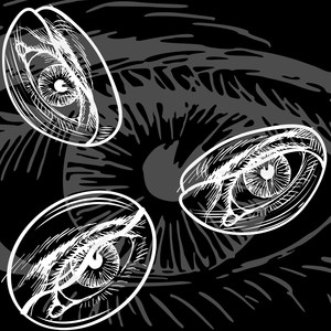 Seed