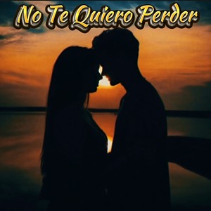 No Te Quiero Perder