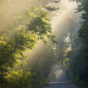 安稳比什么都重要