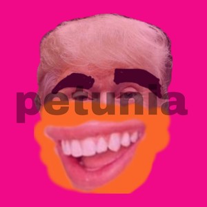 petunia