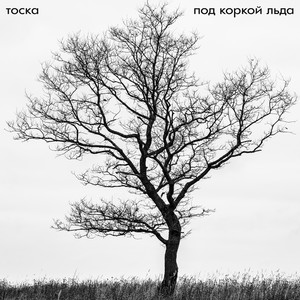 Под коркой льда