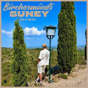Birchermüesli (Explicit)