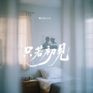 只若初见 (深情版)