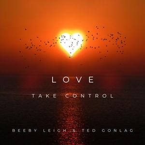 Love Take Control (feat. Ted Gonlag)