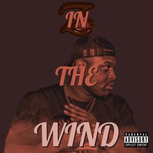 IN THE WIND (Explicit)