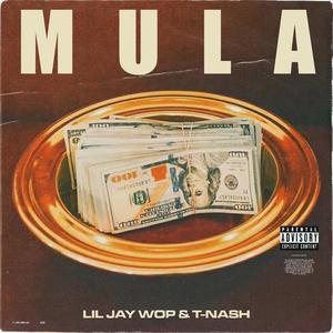 Mula(feat. T-Nash) (Explicit)