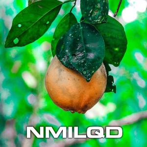 NMILQD (feat. Jefraín)