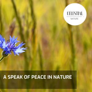 A Speak of Peace in Nature