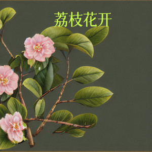 伊雅 - 荔枝花开 (伴奏)