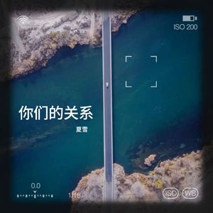 你们的关系-夏雪