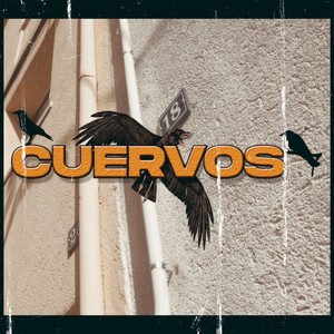 Cuervos (Explicit)