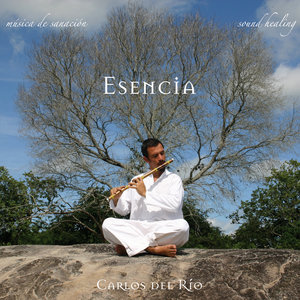 El Canto de las Cortezas