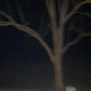 cause & affect (Explicit)