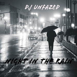 Night In The Rain