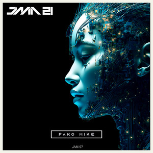 Cook Filter (Maskharah Mix)