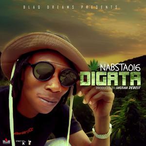 DiGATA (feat. Shusha De Beste)