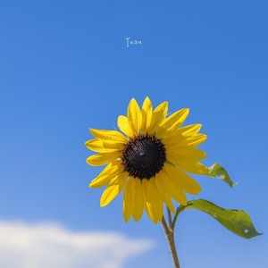 四十岁的我