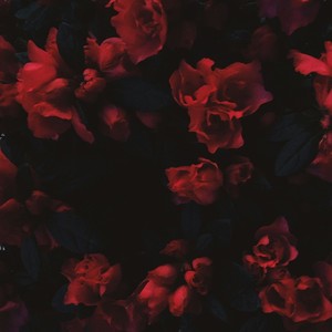 Flowers (Explicit)