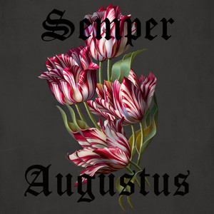 Semper Augustus