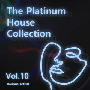 Various Artists - The Platinum House Collection Vol.10