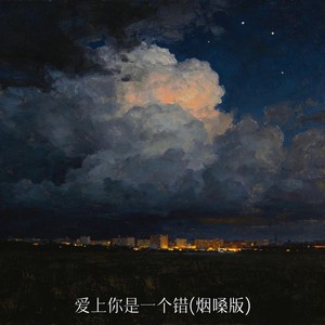 爱上你是一个错 (烟嗓版) - 郑大钱封面
