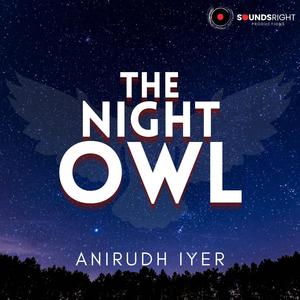 The Night Owl