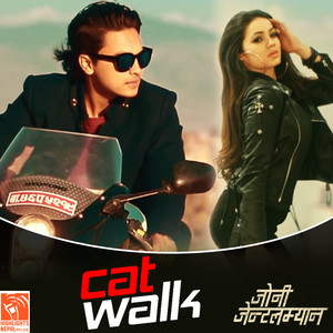 Cat Walk