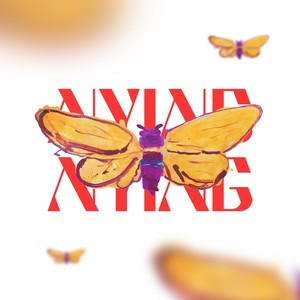 Nying Nying(feat. Fami Redwan)