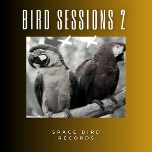 Bird Sessions 2