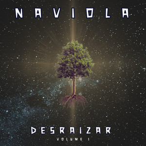 Desraizar V.I