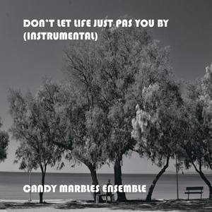 Don’t Let Life Just Pass You (Instrumental)