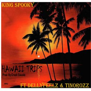 Hawaii Trips (feat. Dellyfeelz & Tinorozz)