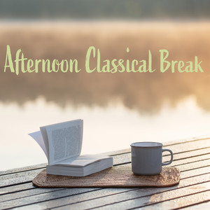 Afternoon Classical Break