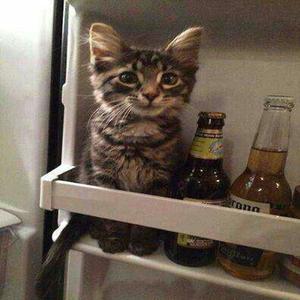 gimmie head (Explicit)