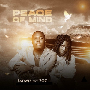 Peace of Mind (Explicit)