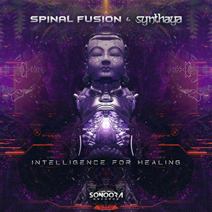 Intelligence For Healing (Original Mix)
