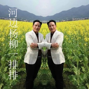 河边杨柳一排排