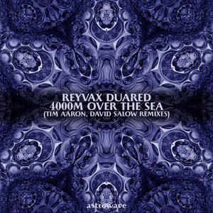 4000 M Over the Sea (David Salow Remix)