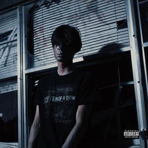 my distorted mind (feat. Danzhee & Pxrplxin)