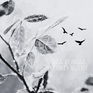 Natural Bird Rain