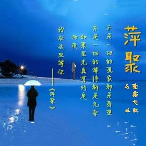 萍聚