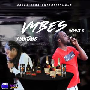 VYBES (feat. Shane E) [Explicit]