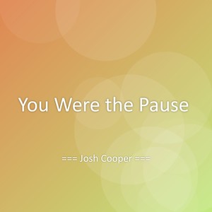 You Were the Pause