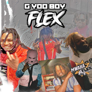 Flex (Explicit)