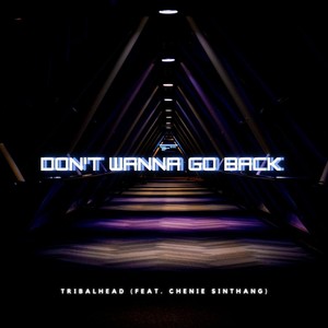 Don't Wanna Go Back (feat. Chenie Sinthang)