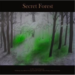 Secret Forest