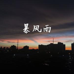 暴风雨-宋彬Remix