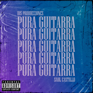 Pura Guitarra